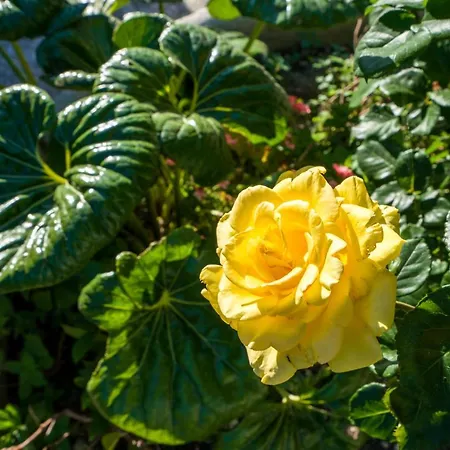 Borgo Canneto بيت للعطل