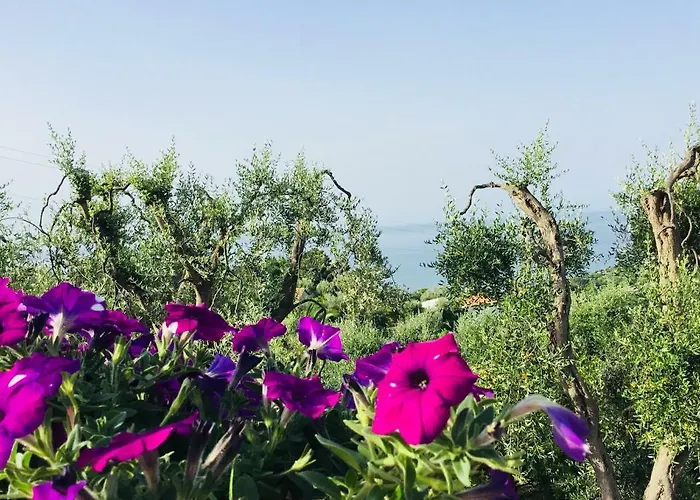 Borgo Canneto 펜션 *