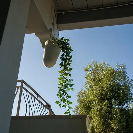 Borgo Canneto *