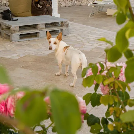 Borgo Canneto Hébergement de vacances *